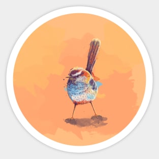 Lost in Melody - Cute Cactus Wren Sticker